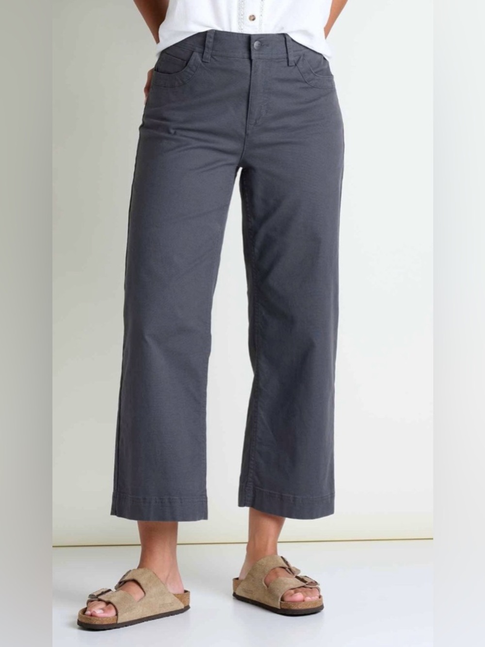 Toad &Co Earthworks Wide Leg Crop Sz 8 in Soot color